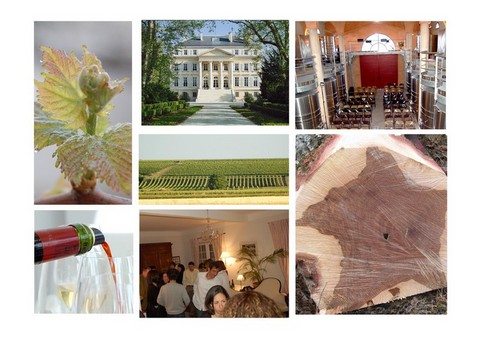 top-region-viticole-france